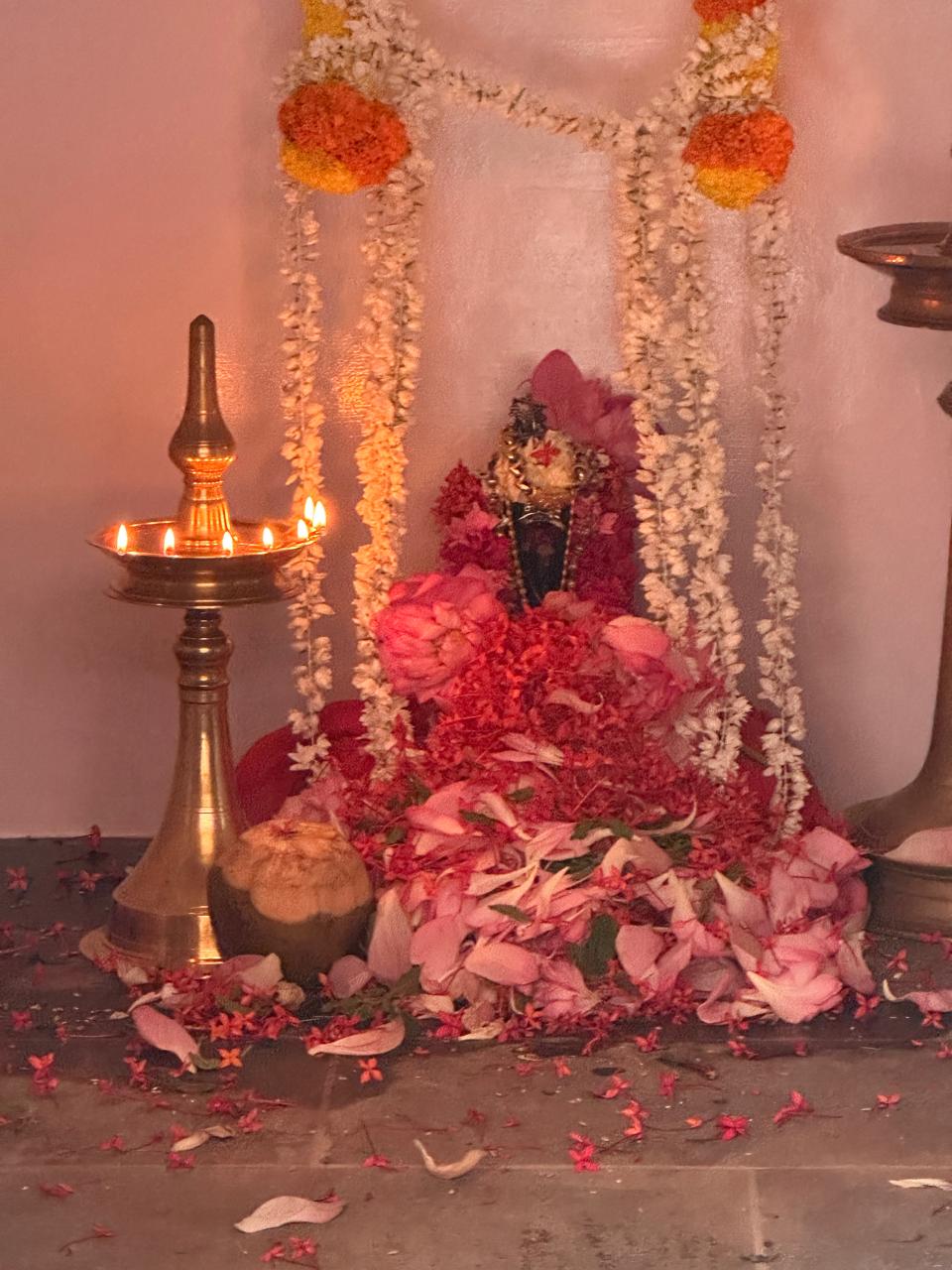 Sacred shrine with brass nilavilakku oil lamps, flower-adorned murti, marigold garlands and coconut offering